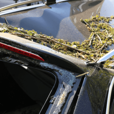 Automóvil dañado por tormenta